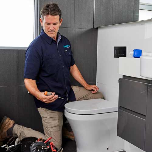 Blocked Toilet and Drain Plumber