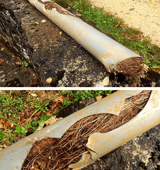 Blocked-toilets-and-drains-Sydney-Plumber-Smiths-Plumbing-Emergency-Call